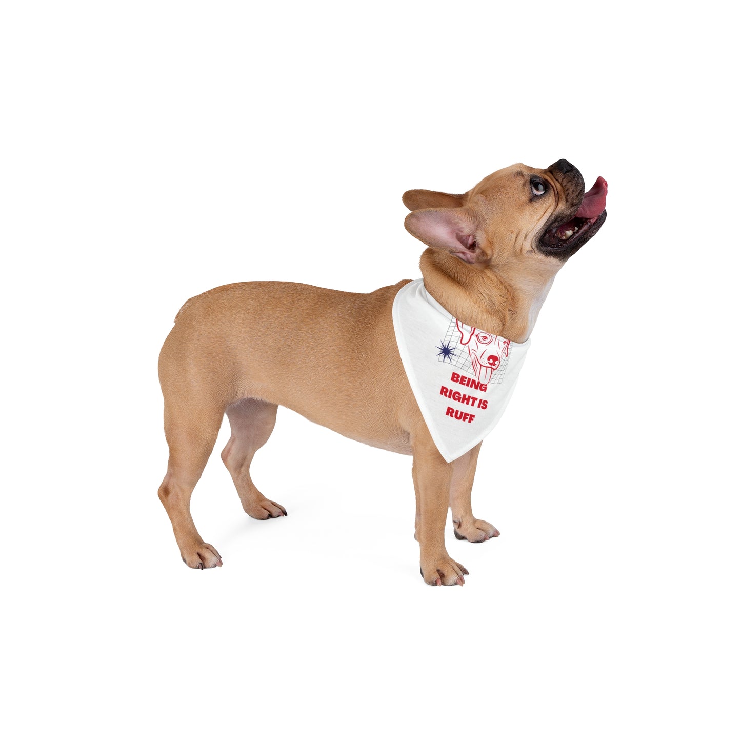Being Right is Ruff - Pet Bandana