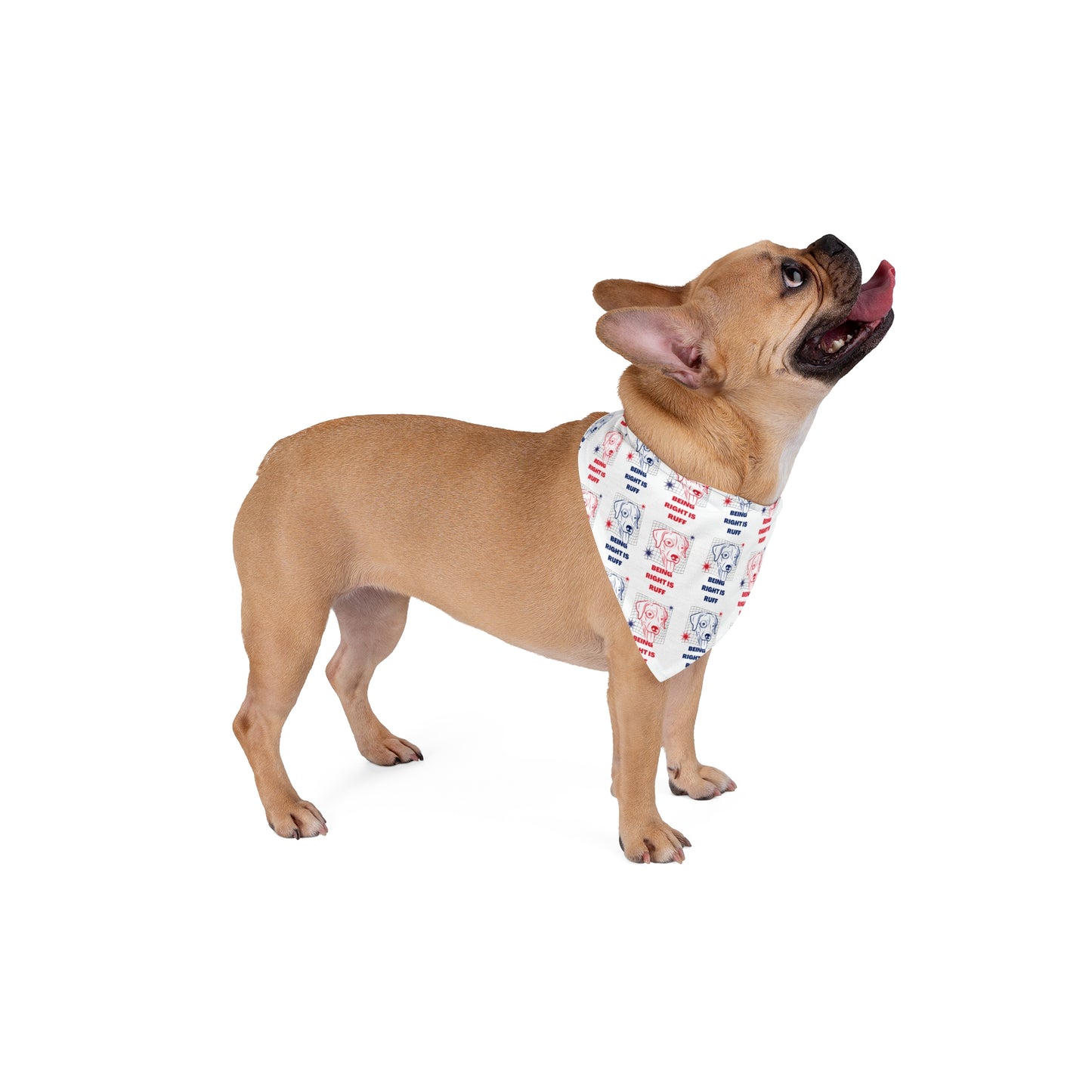 "Being Right is Ruff" Pet Bandana